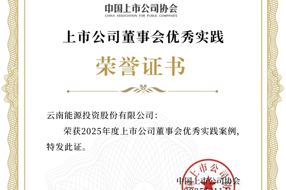 上市公司2025年董事会优秀实践证书_副本.png